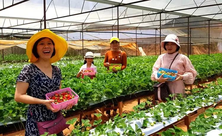 Hộ Kinh Doanh Bùi xuân Bình